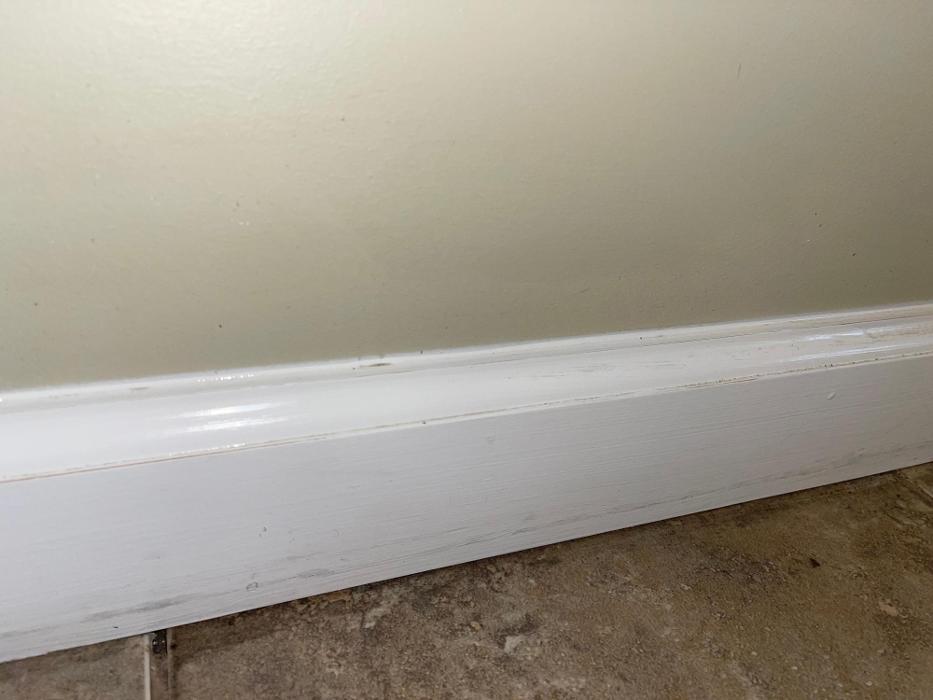 Custom Cleaning - Dyersburg, TN