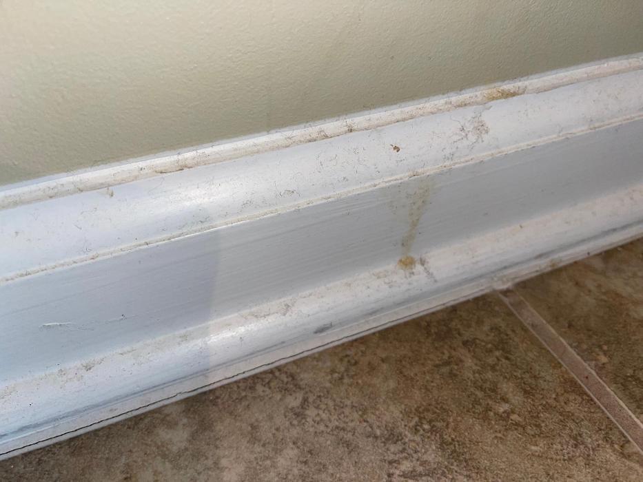 Custom Cleaning - Dyersburg, TN