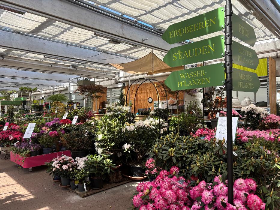 Pflanzen-Kölle Gartencenter GmbH & Co. KG Berlin - Dallgow-Döberitz, Döberitzer Weg in Dallgow-Döberitz