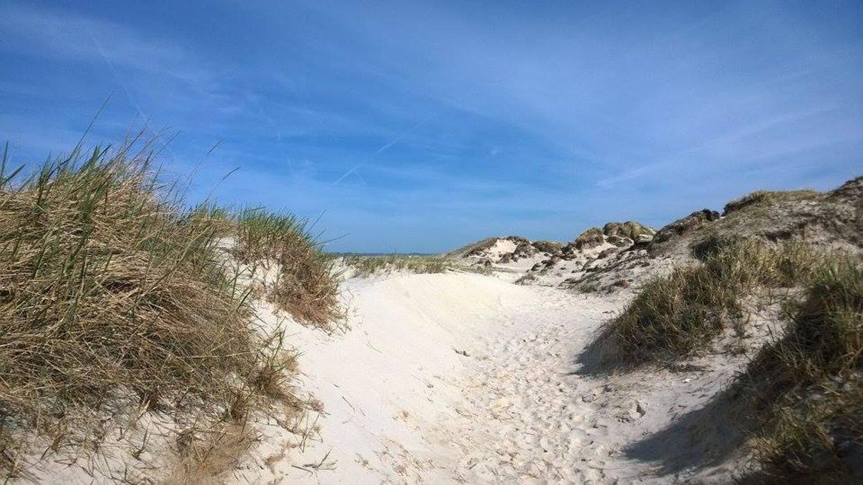 Nordsee-Urlaubszeit Appartementvermittlung, Nordergeest in Sankt Peter-Ording