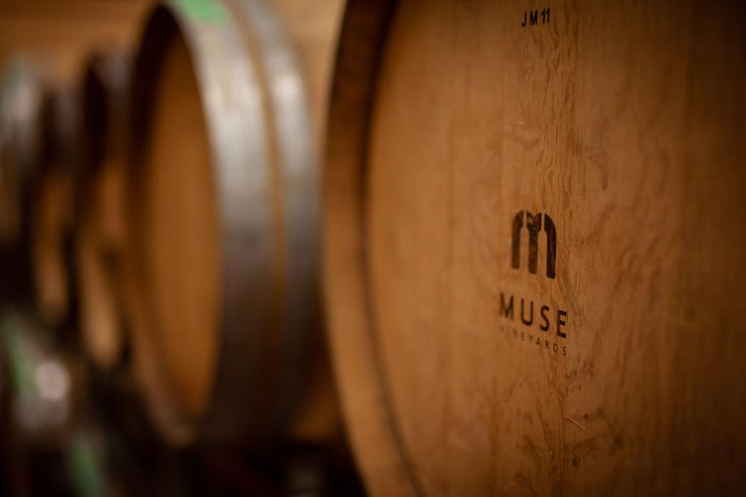 Muse Vineyards Image
