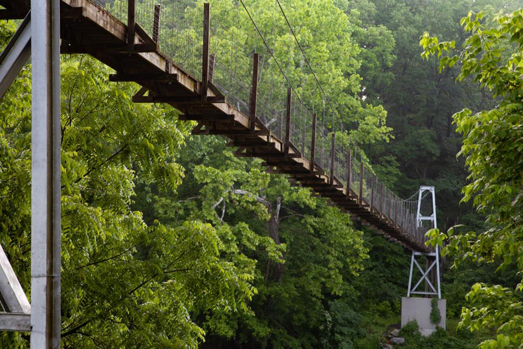 Muse Vineyards Image