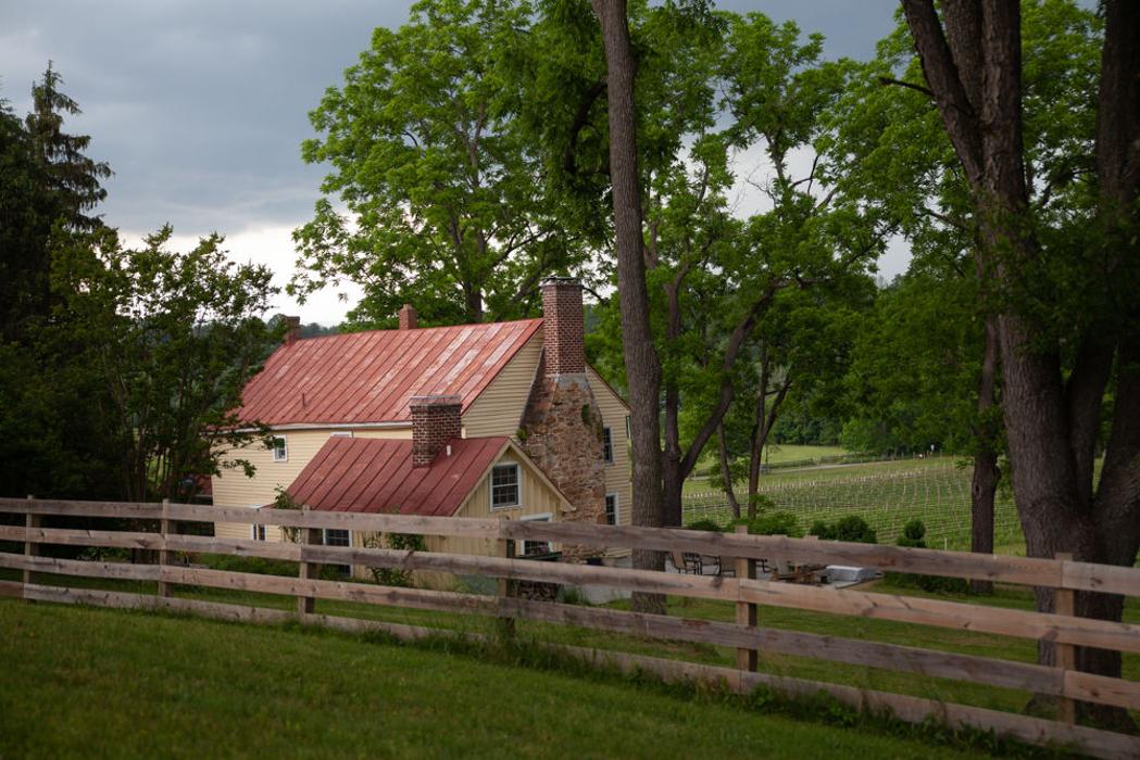 Muse Vineyards Image