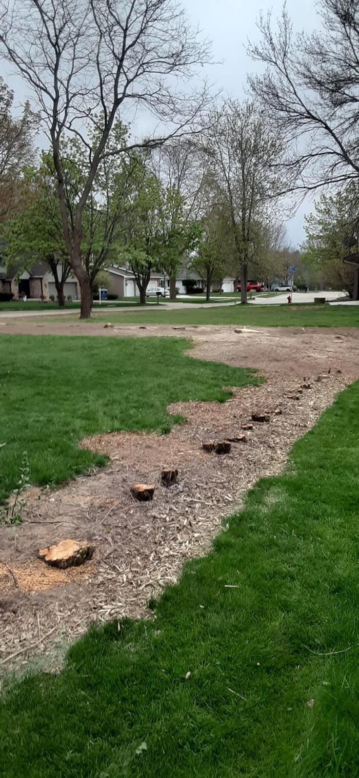 ABT Tree Specialists LLC - Manitowoc, WI