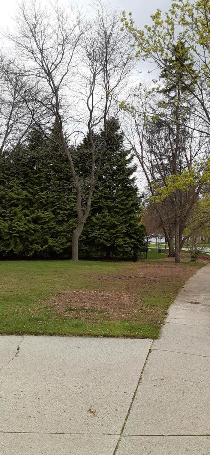 ABT Tree Specialists LLC - Manitowoc, WI