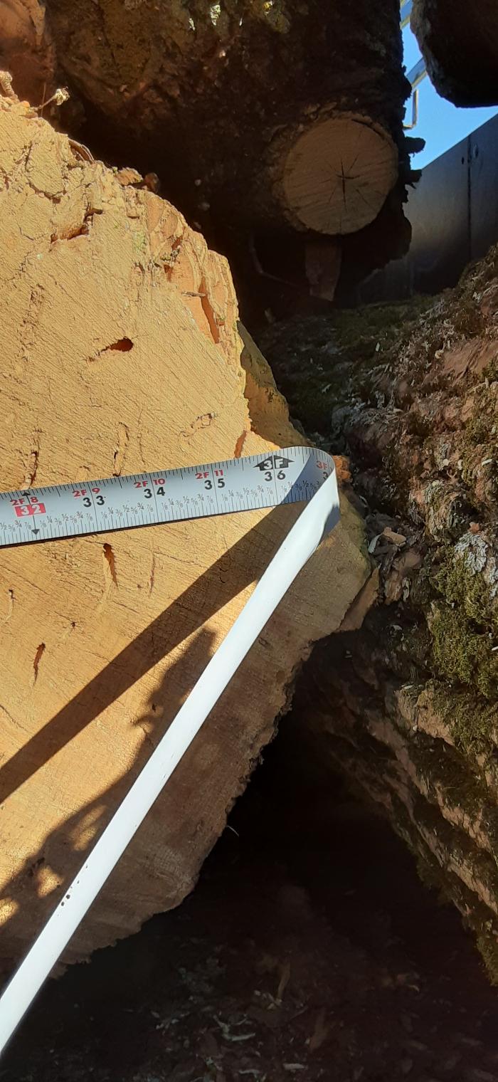 ABT Tree Specialists LLC - Manitowoc, WI