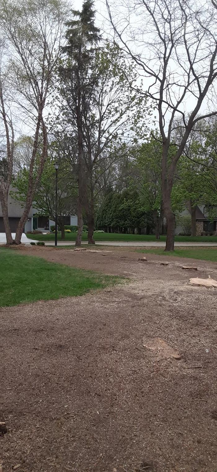 ABT Tree Specialists LLC - Manitowoc, WI