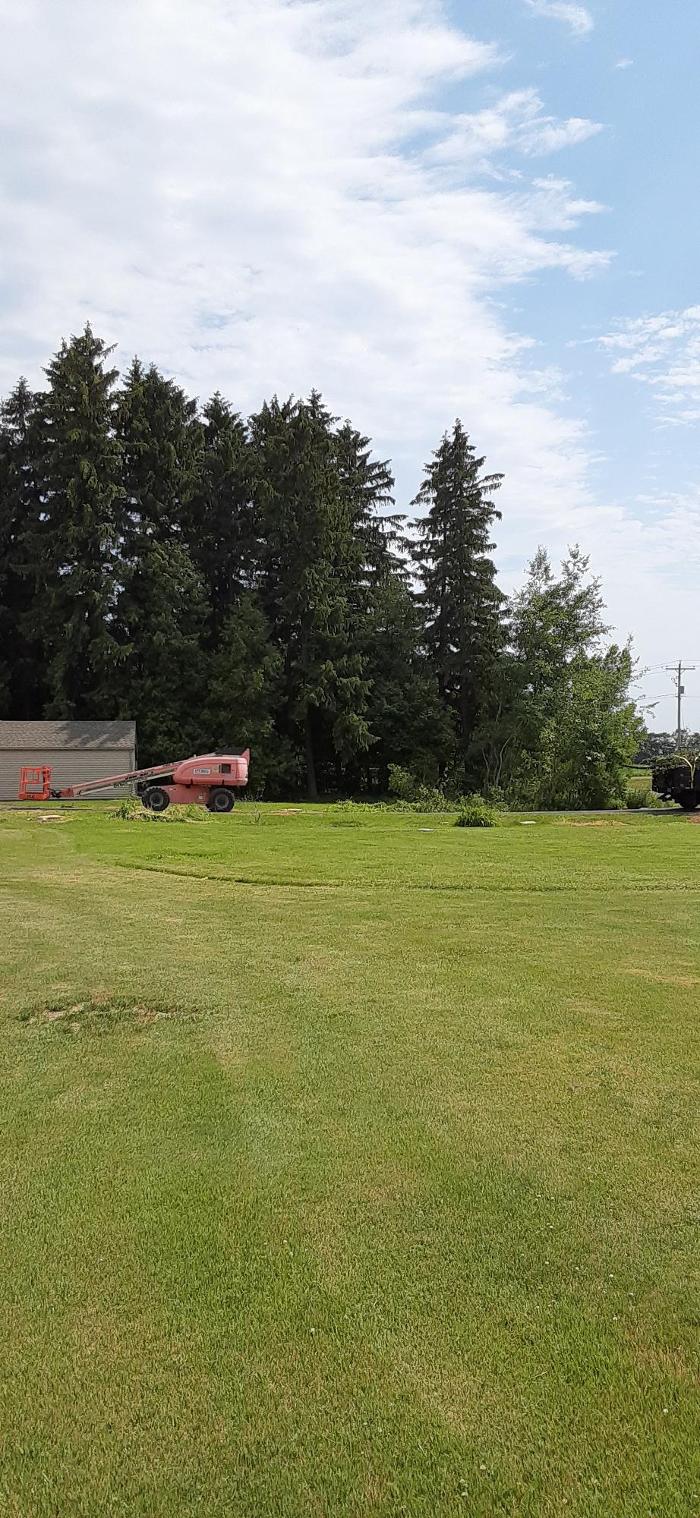 ABT Tree Specialists LLC - Manitowoc, WI