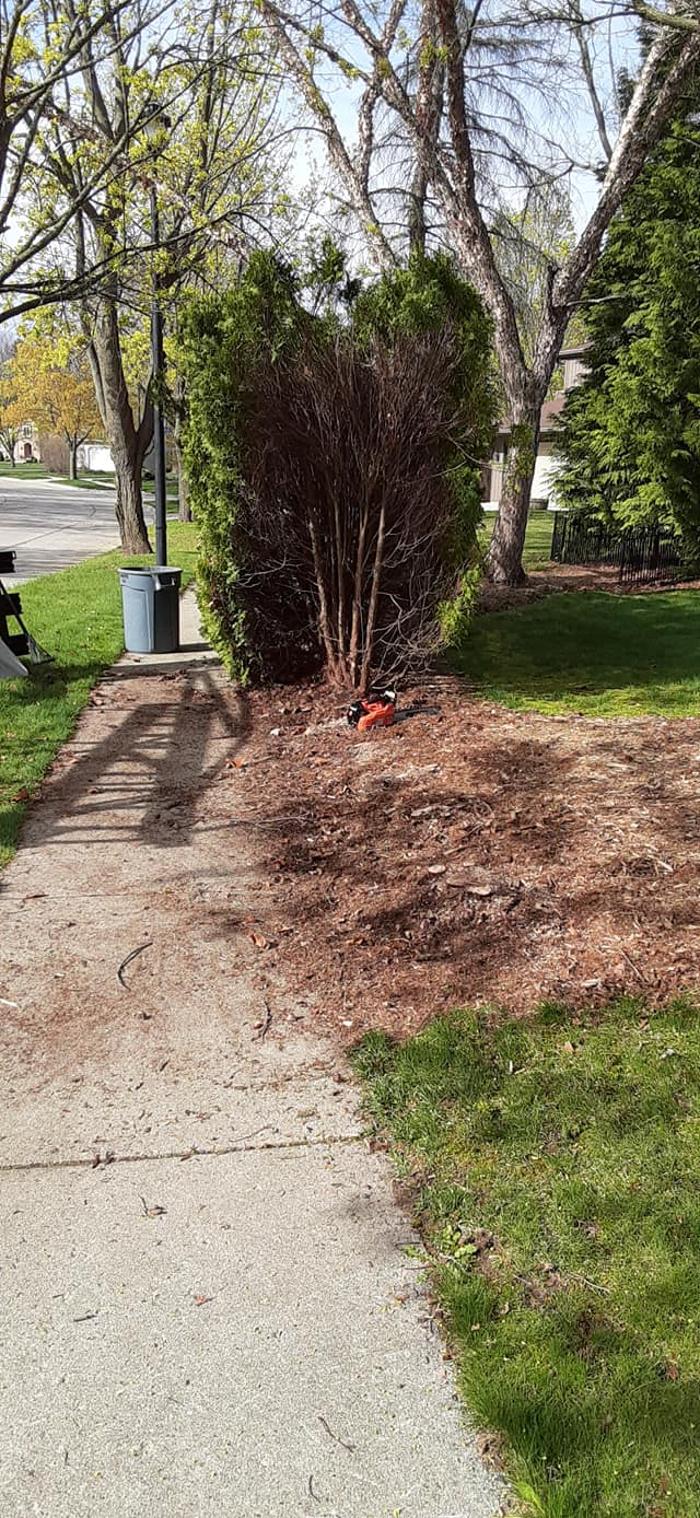 ABT Tree Specialists LLC - Manitowoc, WI