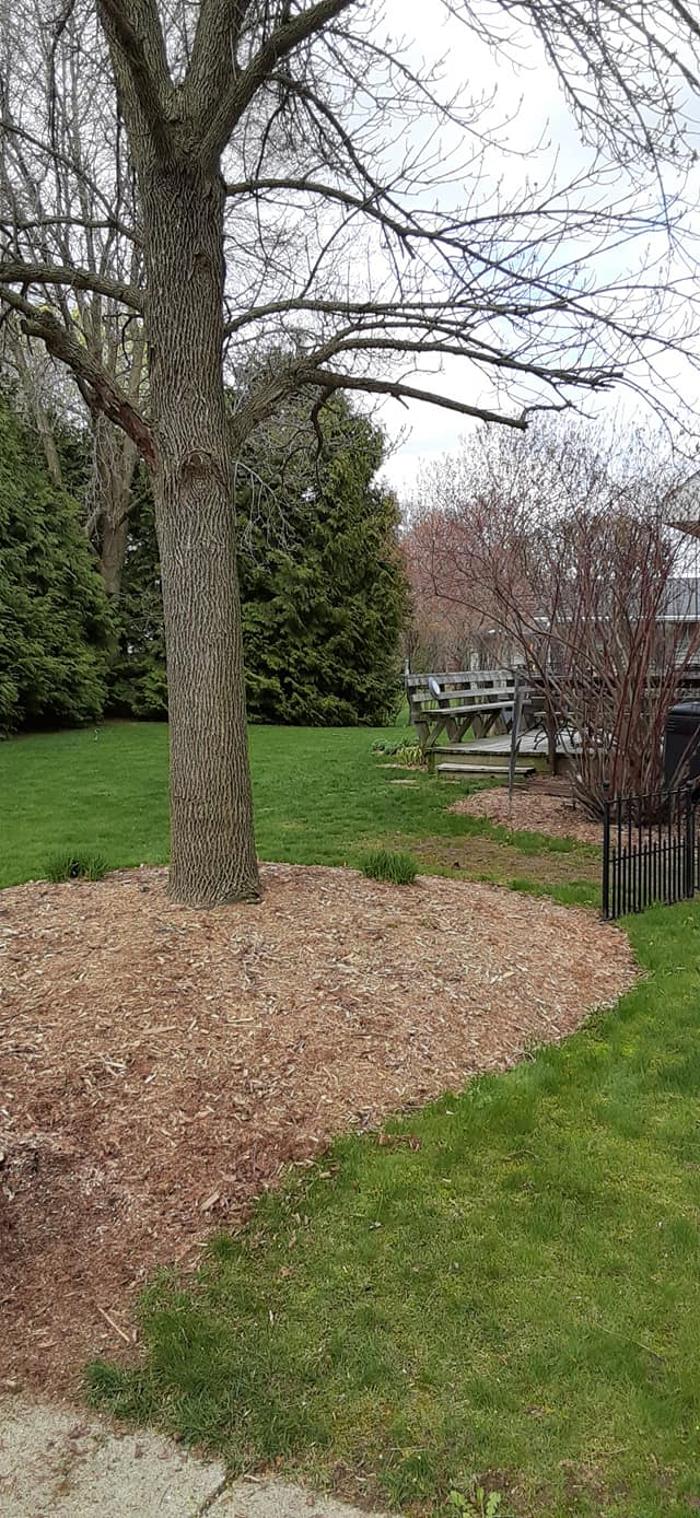 ABT Tree Specialists LLC - Manitowoc, WI
