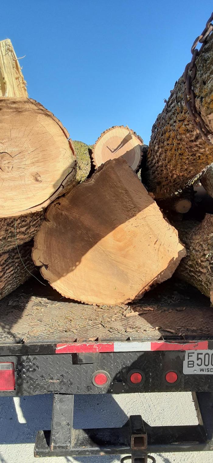 ABT Tree Specialists LLC - Manitowoc, WI
