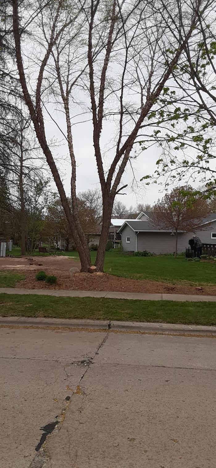 ABT Tree Specialists LLC - Manitowoc, WI