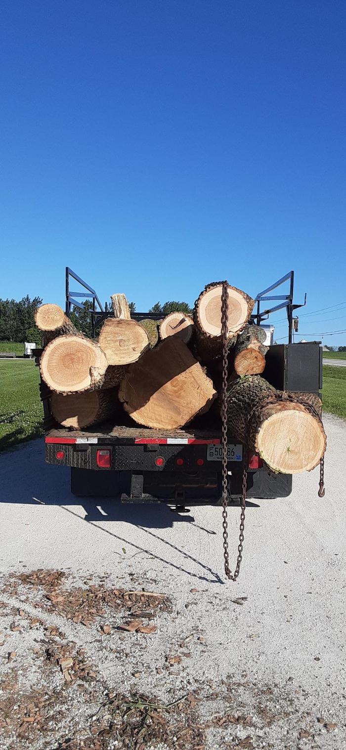 ABT Tree Specialists LLC - Manitowoc, WI