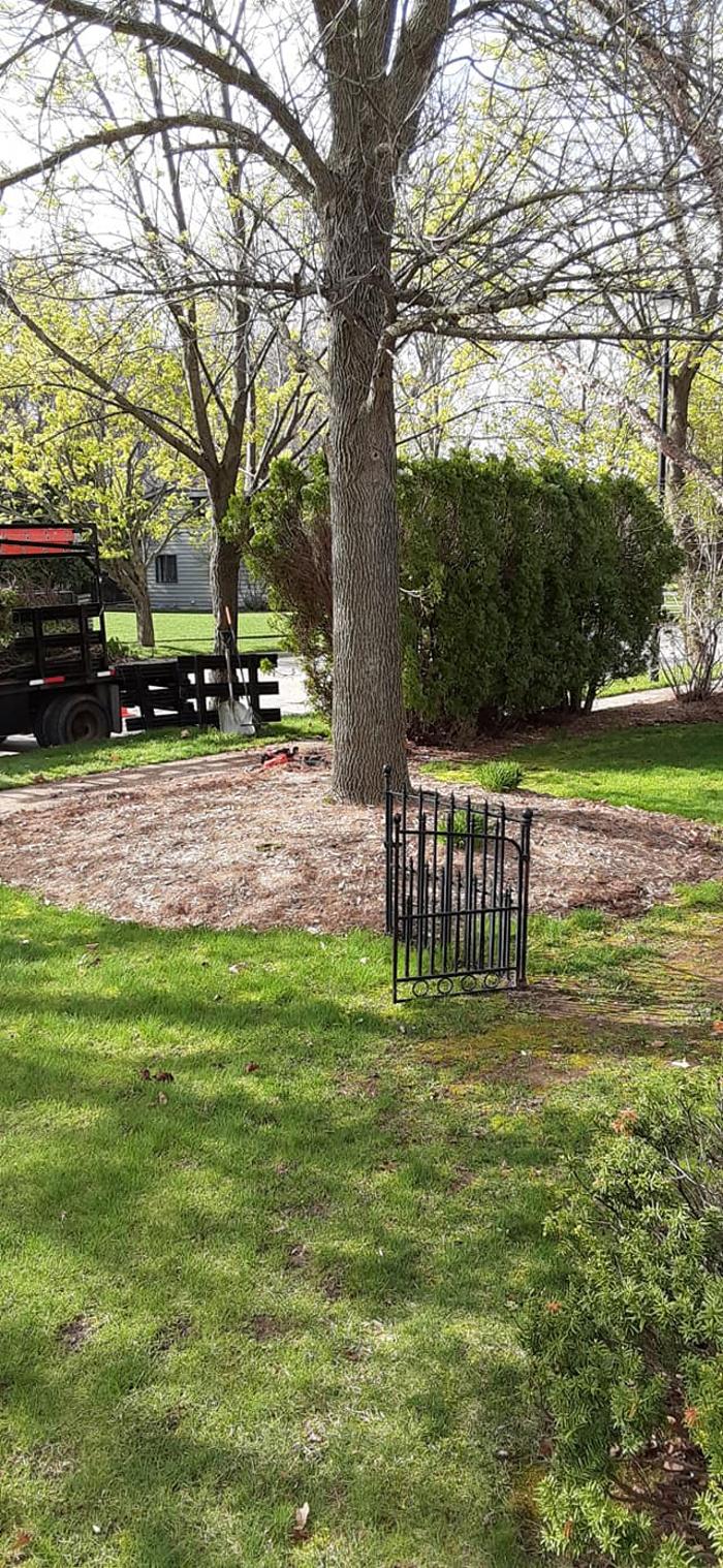 ABT Tree Specialists LLC - Manitowoc, WI
