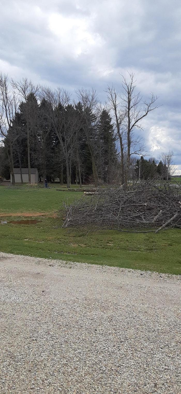 ABT Tree Specialists LLC - Manitowoc, WI