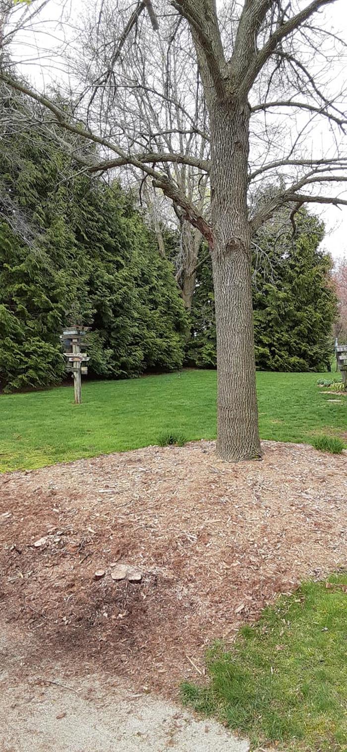 ABT Tree Specialists LLC - Manitowoc, WI