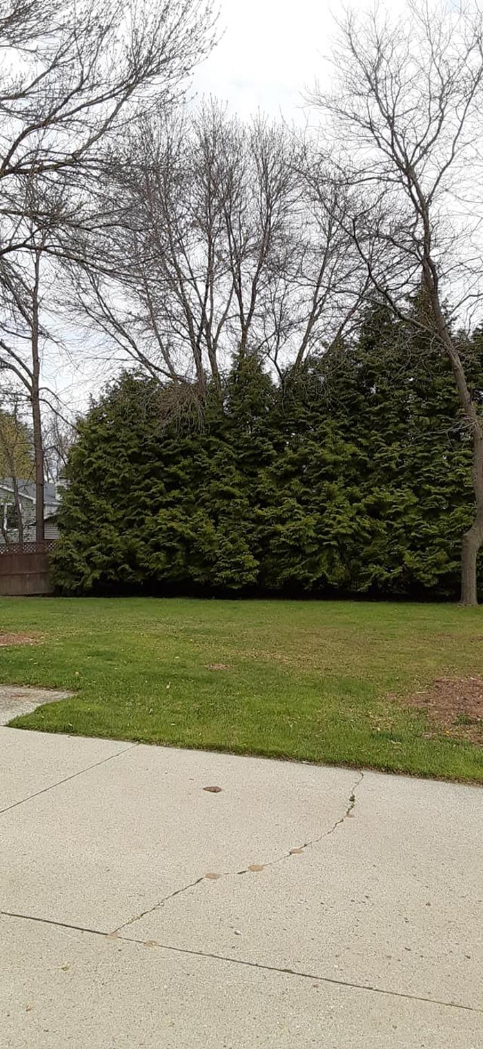 ABT Tree Specialists LLC - Manitowoc, WI