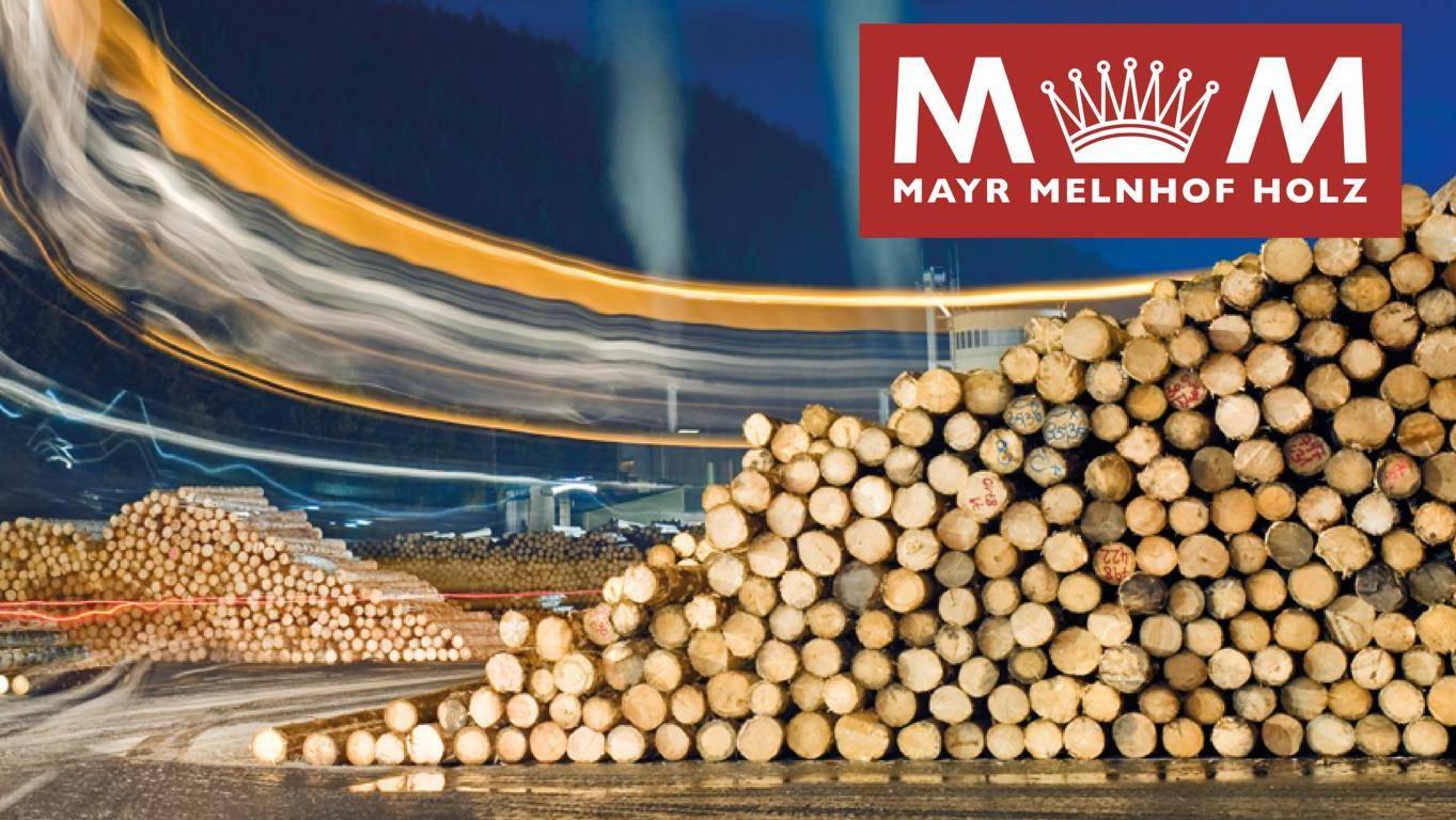 Mayr-Melnhof Holz Wismar GmbH, Am Torney in Wismar