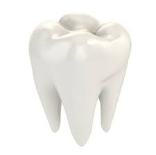 Marian Mobile Dental Services