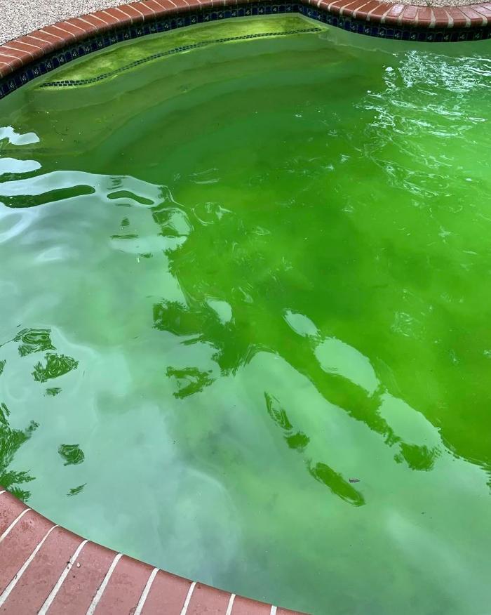 Bravo Company Pool Services - Spring, TX