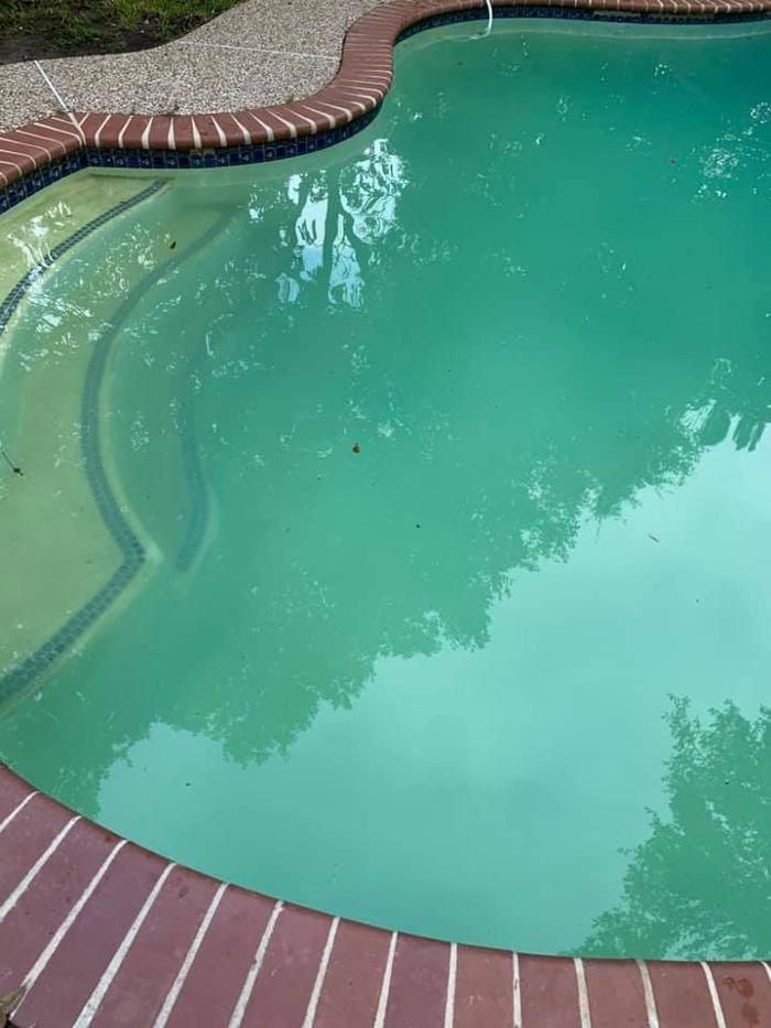 Bravo Company Pool Services - Spring, TX