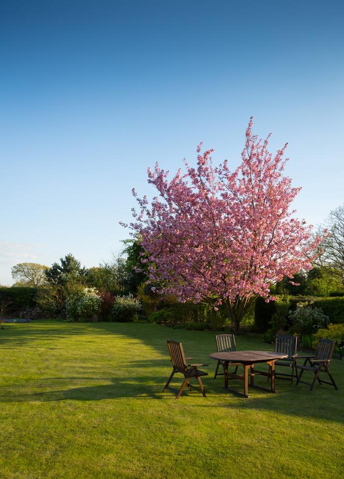 Tri-City Landscaping - Pasco, WA