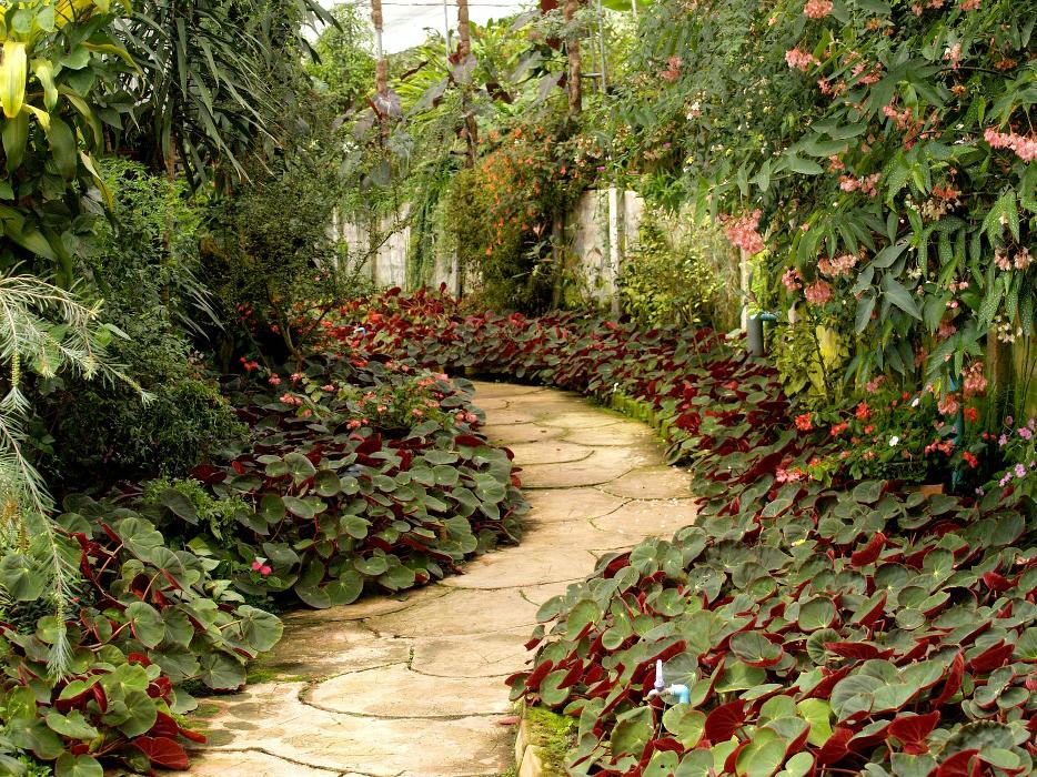 Tri-City Landscaping - Pasco, WA