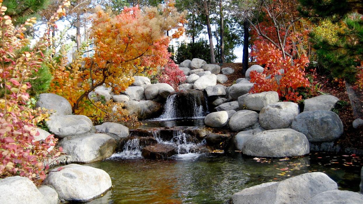 Tri-City Landscaping - Pasco, WA