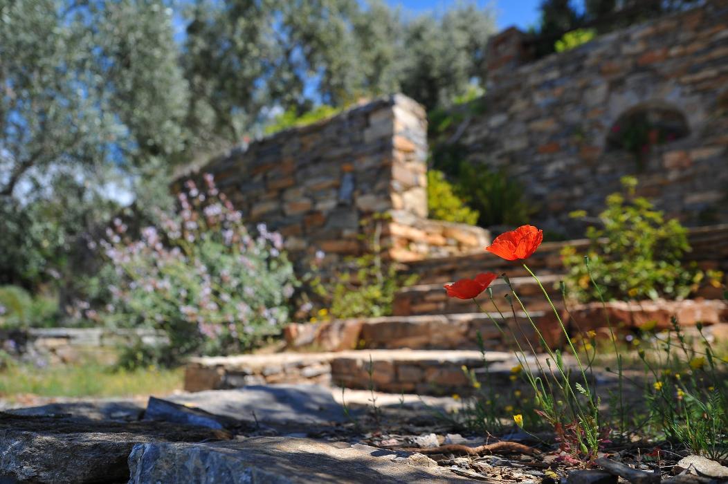Tri-City Landscaping - Pasco, WA