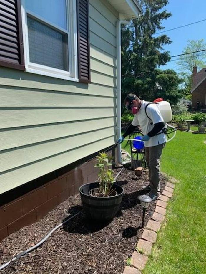 S.W.A.T Pest Control - Wausau, WI