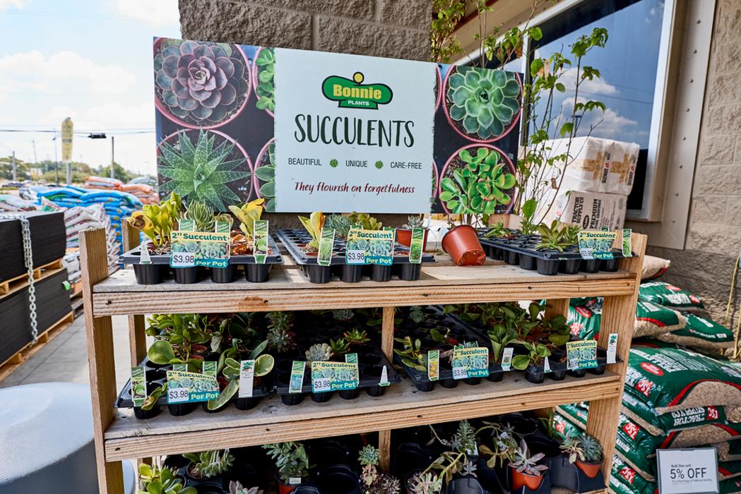 Tractor Supply Co. - Pearland, TX