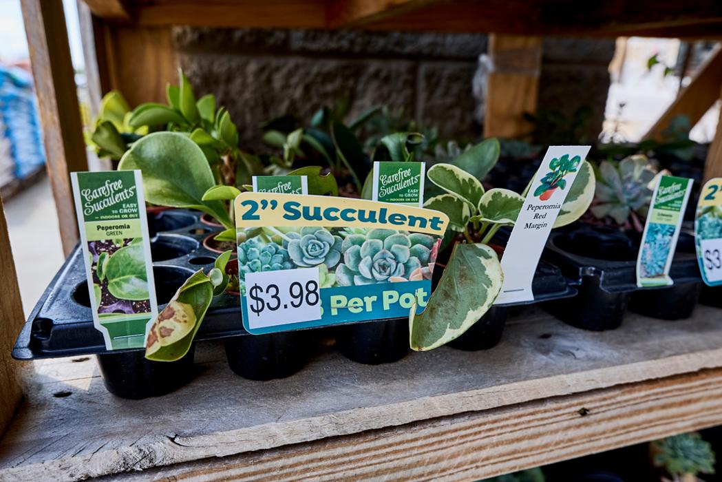 Tractor Supply Co. - Pearland, TX