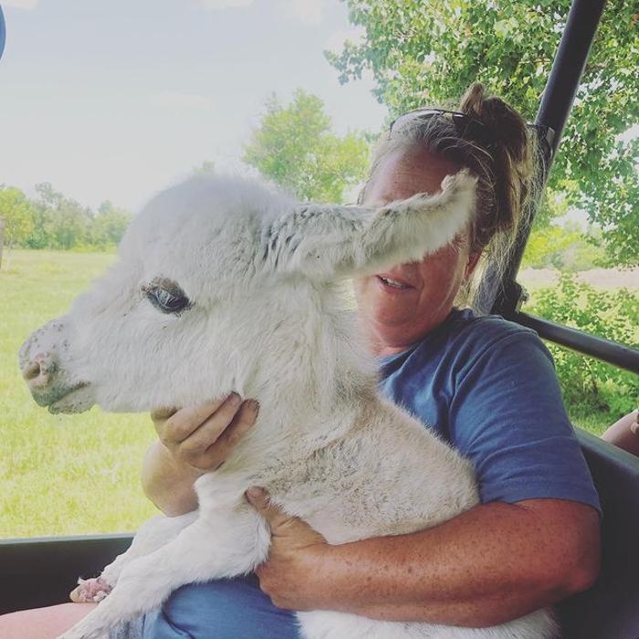 Turquoise Acres Ranch - Katy, TX