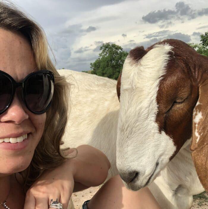 Turquoise Acres Ranch - Katy, TX