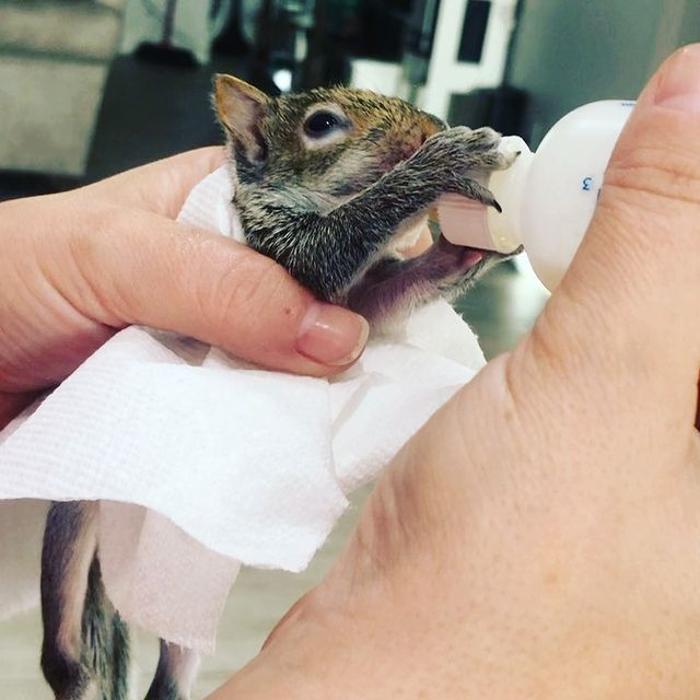 Turquoise Acres Ranch - Katy, TX