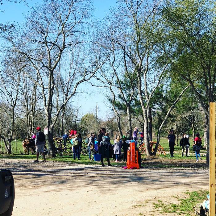 Turquoise Acres Ranch - Katy, TX