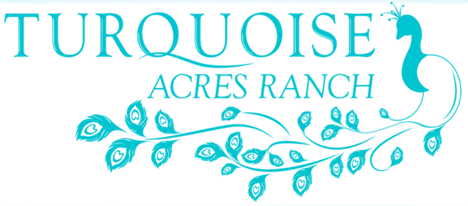 Turquoise Acres Ranch - Katy, TX