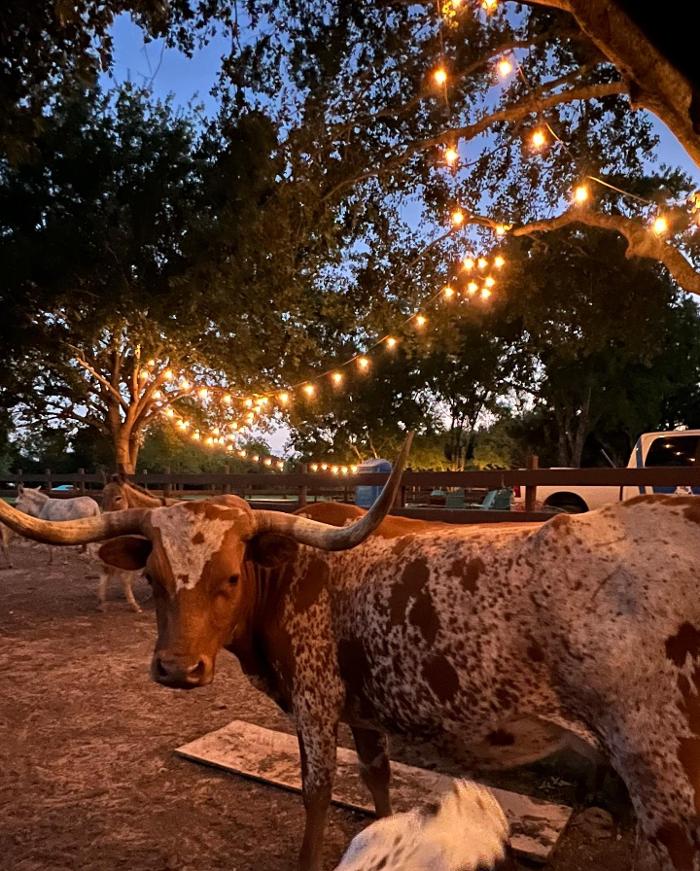 Turquoise Acres Ranch - Katy, TX