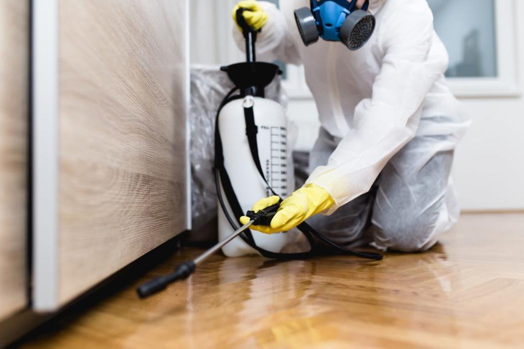 Merritt Termite & Pest Control - Russellville, AR