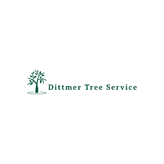 Dittmer Tree Service - Walcott, IA