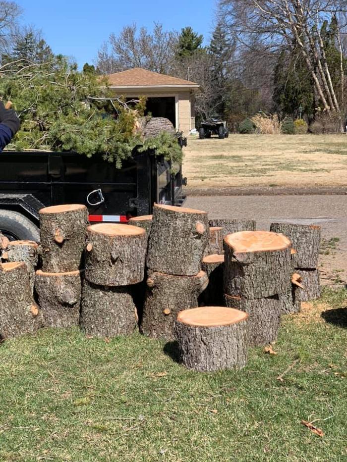 Dittmer Tree Service - Walcott, IA