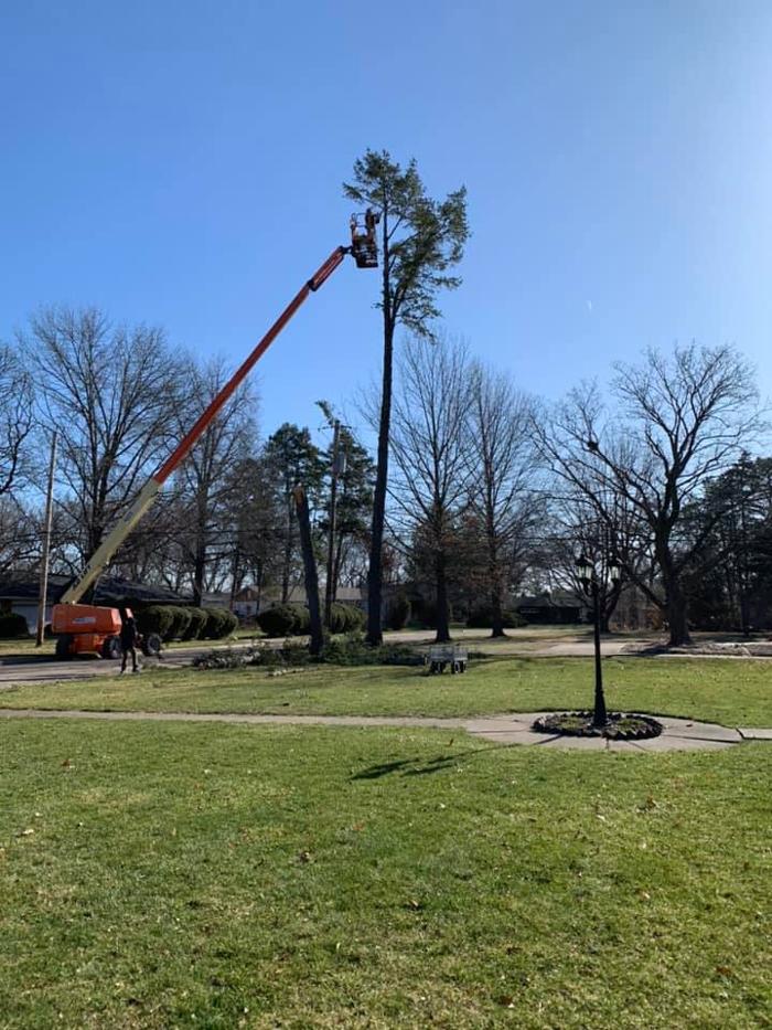 Dittmer Tree Service - Walcott, IA