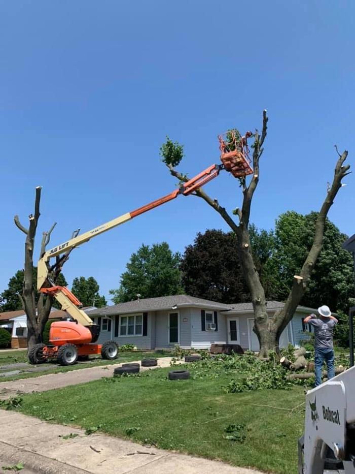Dittmer Tree Service - Walcott, IA