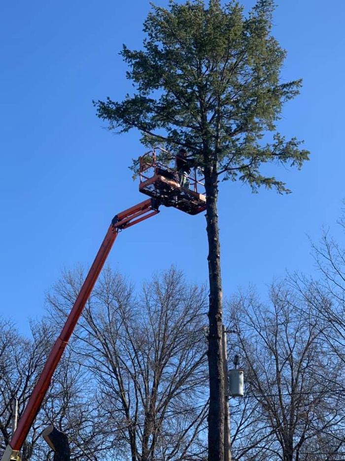 Dittmer Tree Service - Walcott, IA