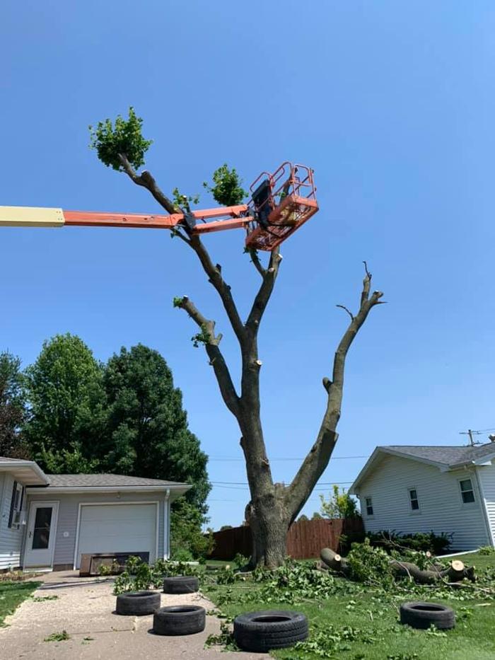 Dittmer Tree Service - Walcott, IA
