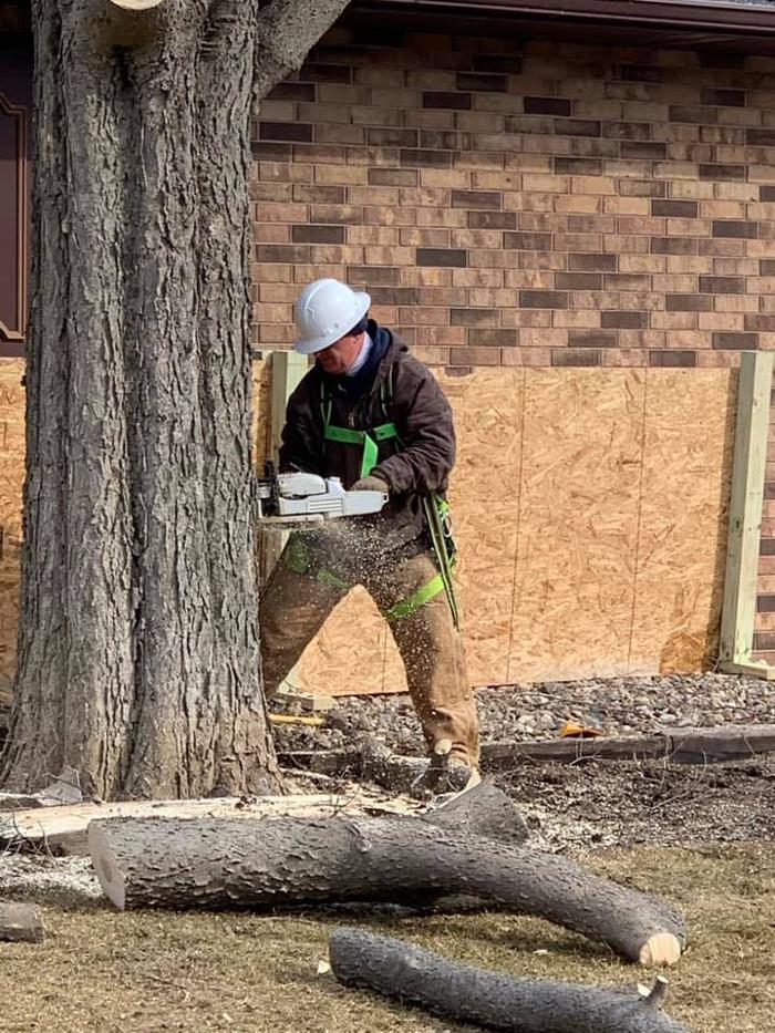 Dittmer Tree Service - Walcott, IA