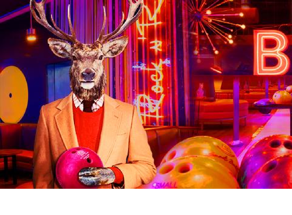 Berks Lanes - Reading, PA