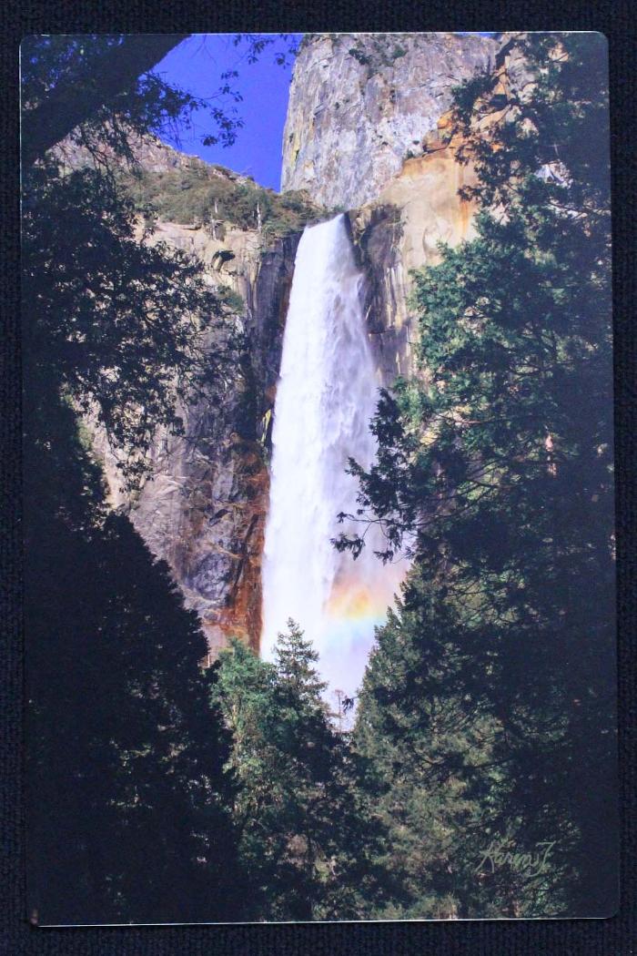 Ink and Image LLC - Sacramento, CA