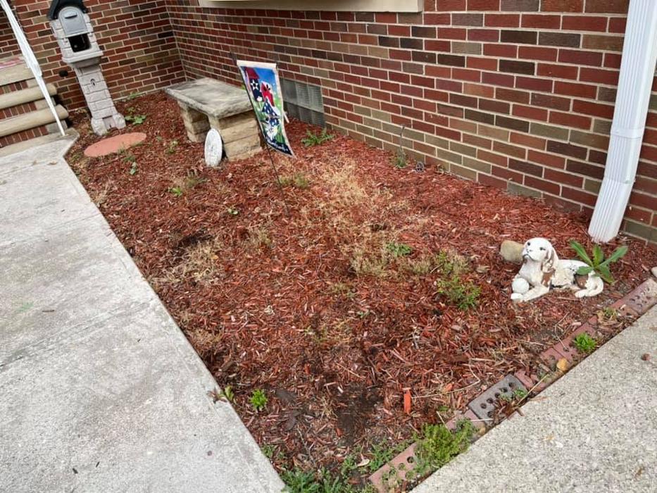 High Class Grass, LLC - Lorain, OH