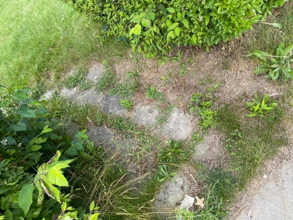 High Class Grass, LLC - Lorain, OH